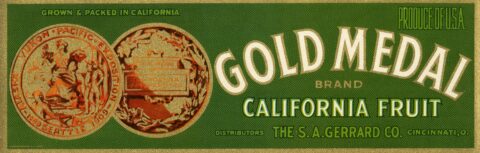 Gold Medal
